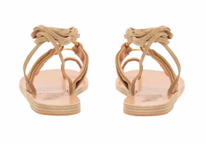 Sandales De Gladiateur Ancient Greek Sandals Kerasia   | WTC-0380403